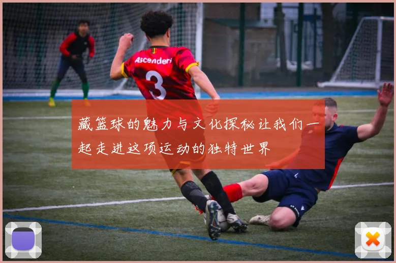 藏篮球的魅力与文化探秘让我们一起走进这项运动的独特世界