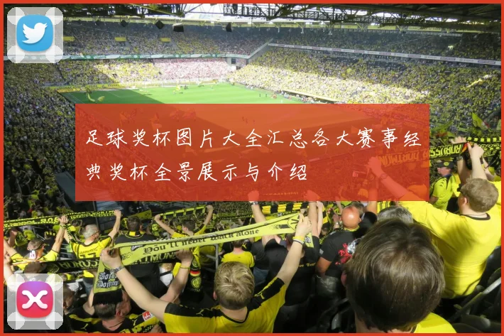 足球奖杯图片大全汇总各大赛事经典奖杯全景展示与介绍