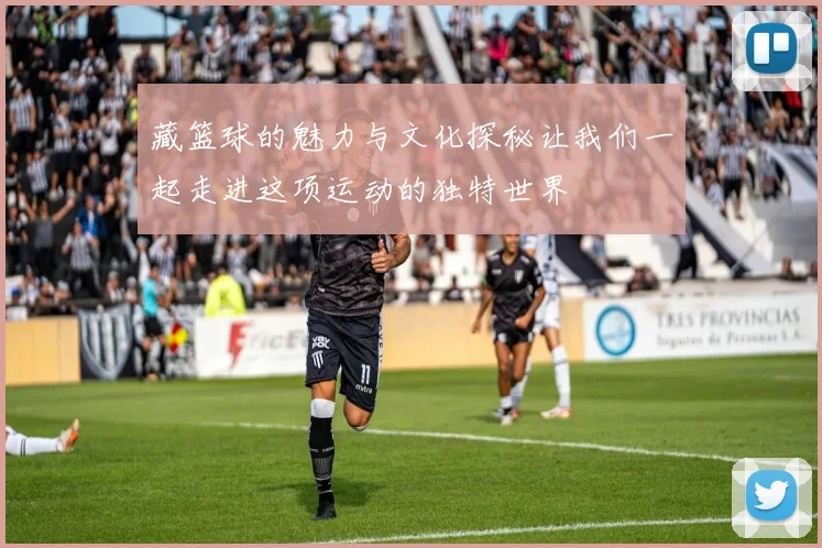 藏篮球的魅力与文化探秘让我们一起走进这项运动的独特世界