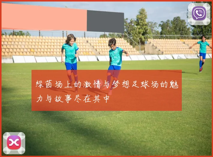 绿茵场上的激情与梦想足球场的魅力与故事尽在其中