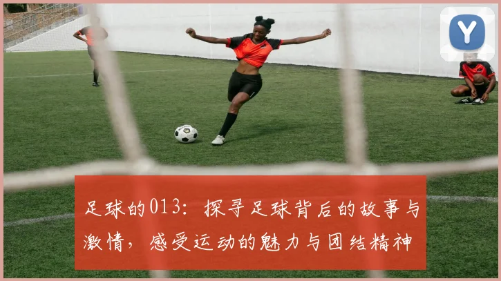 足球的013：探寻足球背后的故事与激情，感受运动的魅力与团结精神