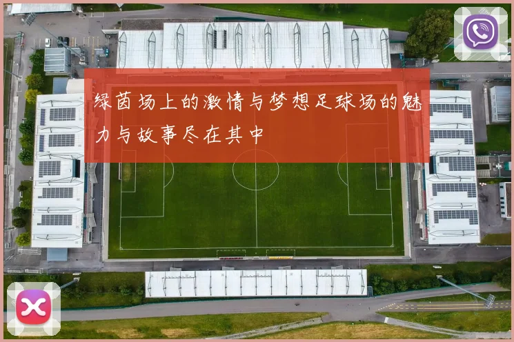 绿茵场上的激情与梦想足球场的魅力与故事尽在其中
