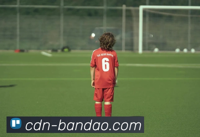 半岛体育官方网站品牌故事